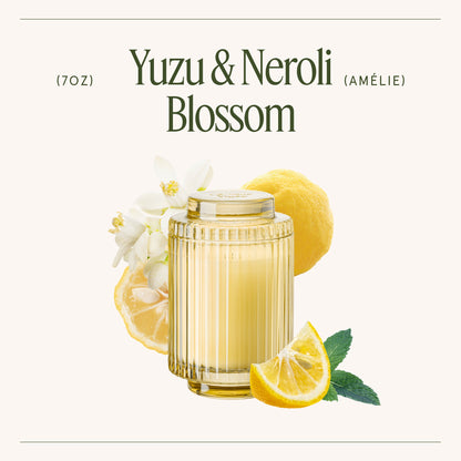 Amélie – Yuzu &amp; Neroli Blossom Candle