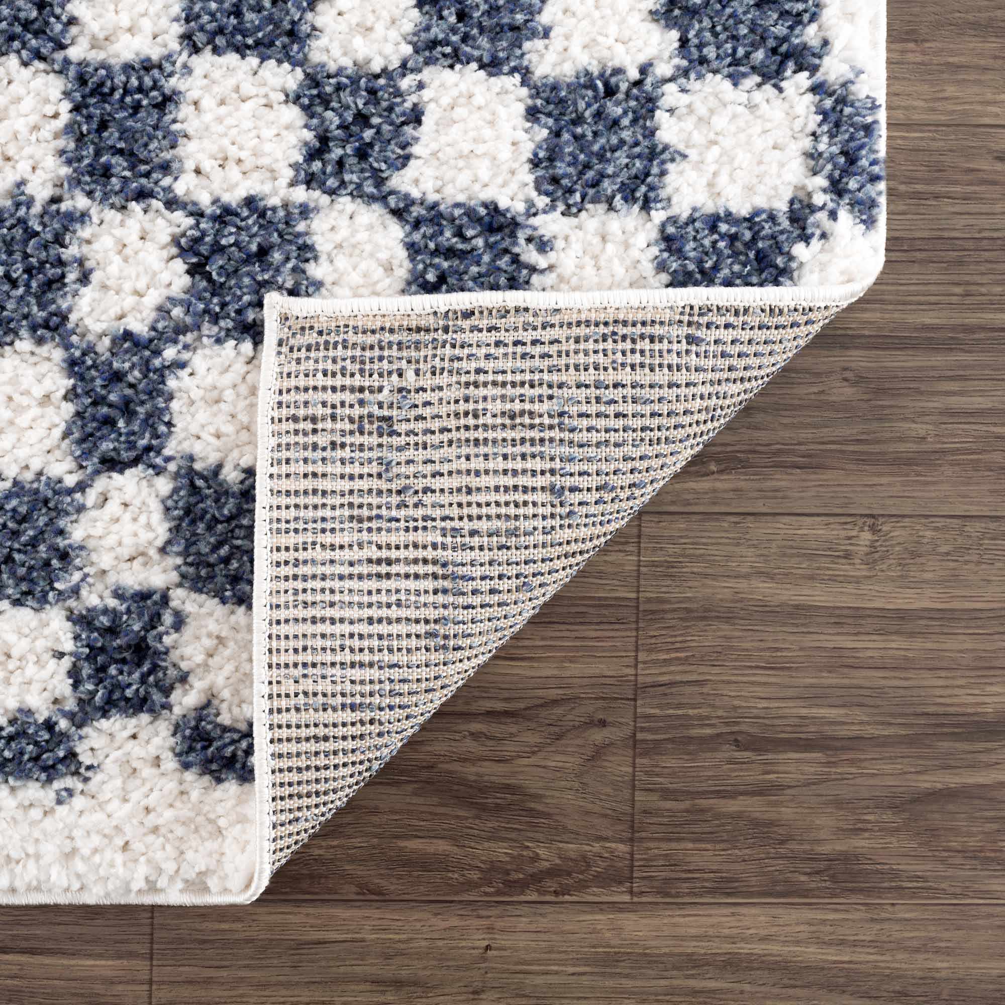 Kieu Blue &amp; White Checkered Area Rug
