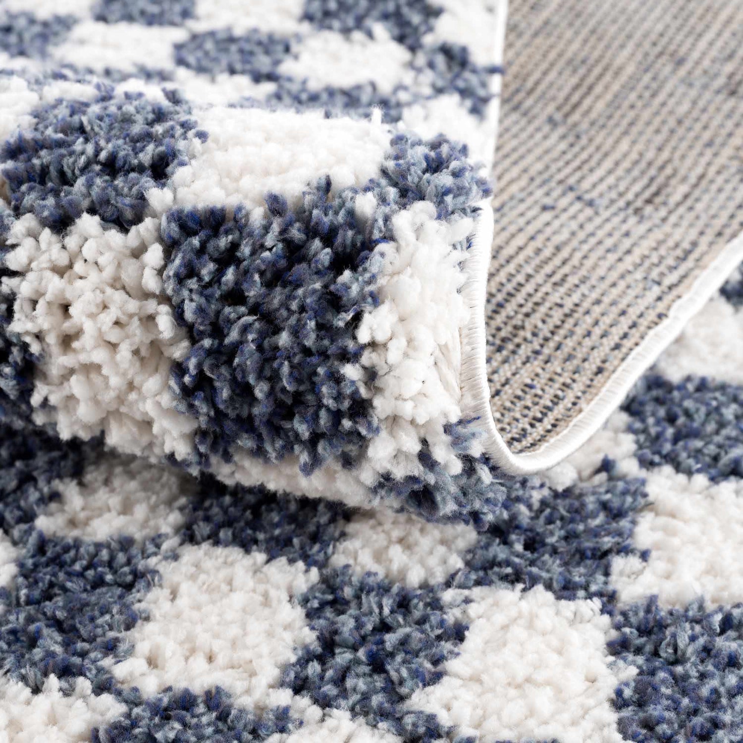 Kieu Blue &amp; White Checkered Area Rug