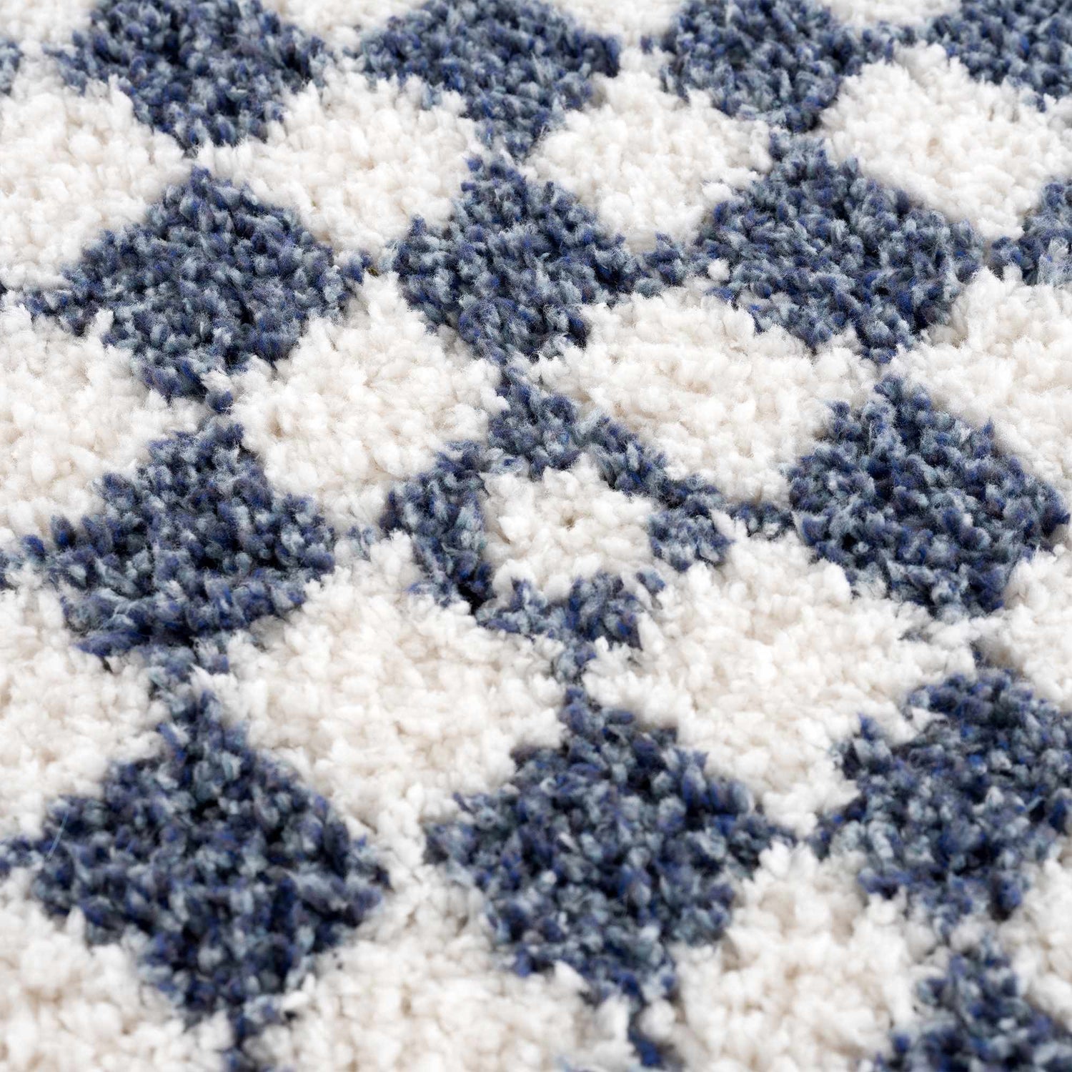 Kieu Blue &amp; White Checkered Area Rug