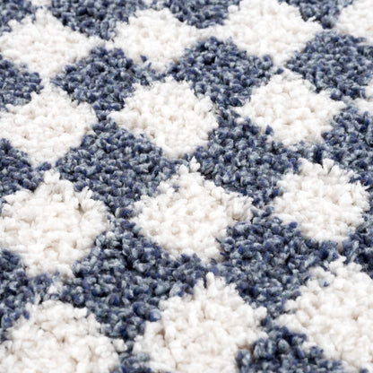 Kieu Blue &amp; White Checkered Area Rug