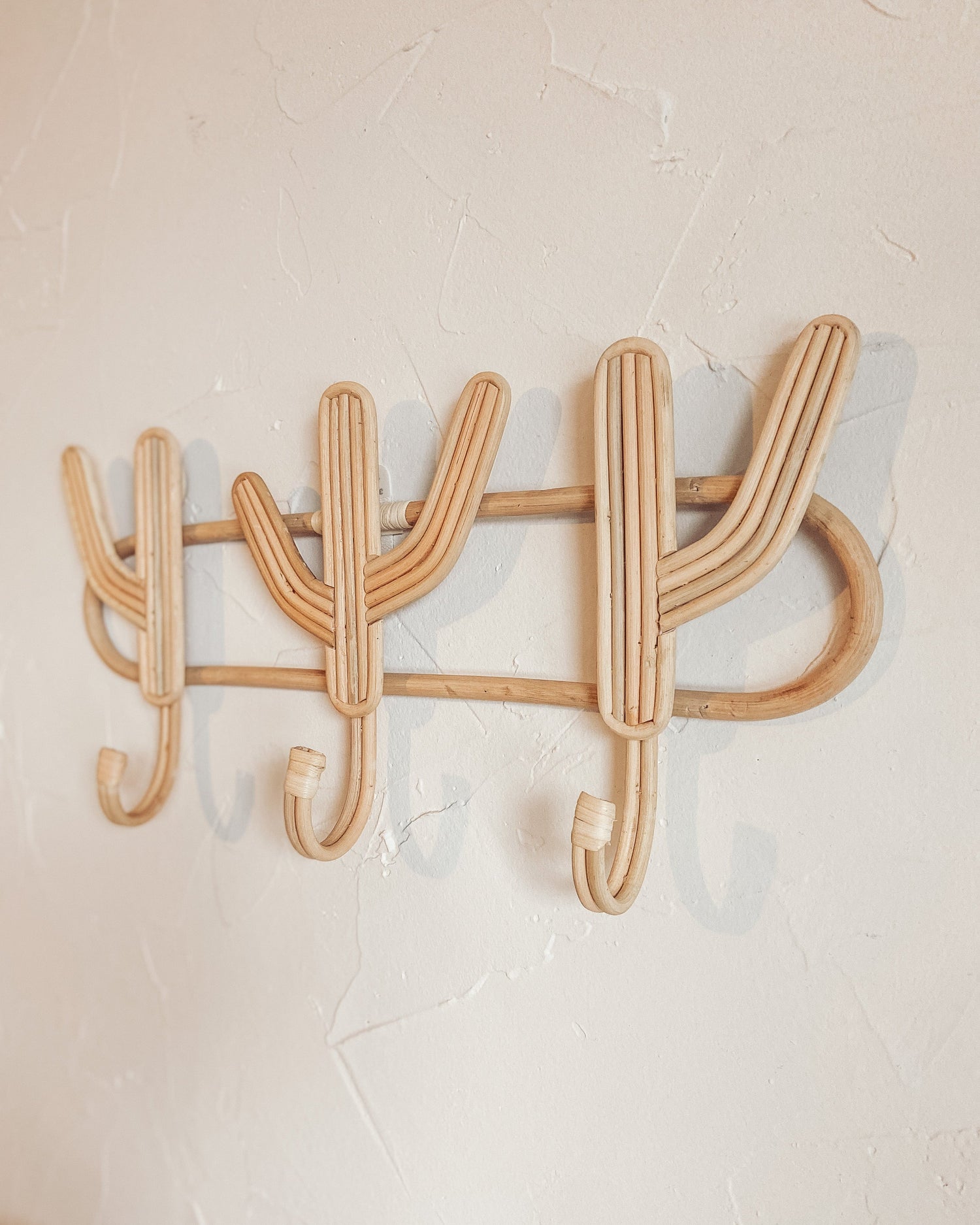 Cactus Multi Wall Hook