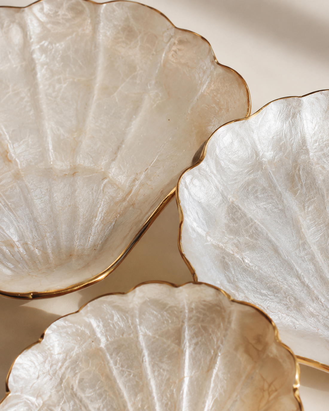 Mother of Pearl Scallop Catch-all Set of 3