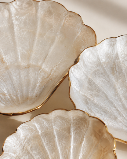 Mother of Pearl Scallop Catch-all Set of 3