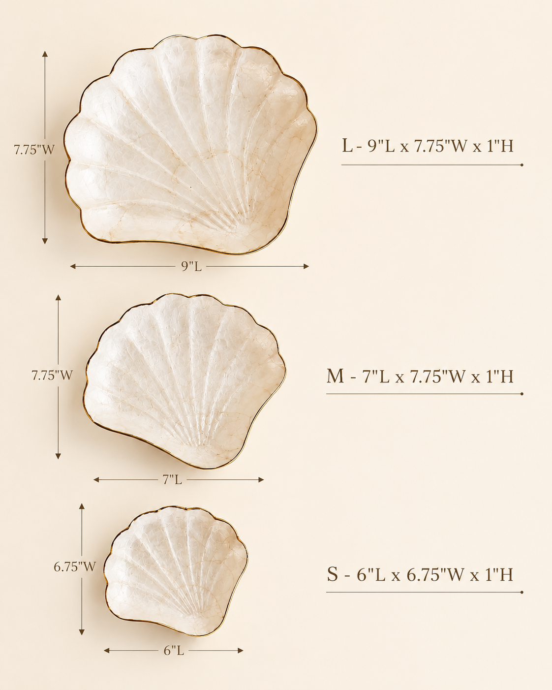 Mother of Pearl Scallop Catch-all Set of 3