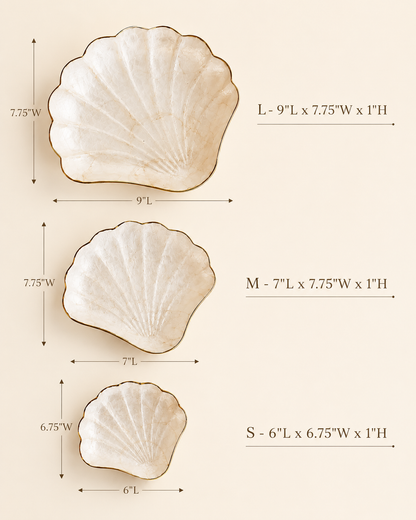Mother of Pearl Scallop Catch-all Set of 3