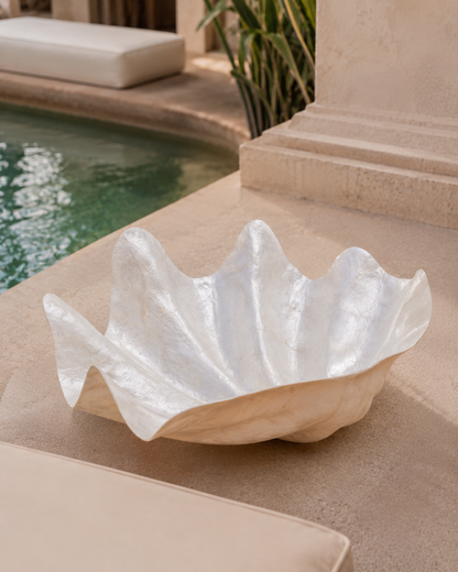 Clam Shell Bowl - 3 Sizes