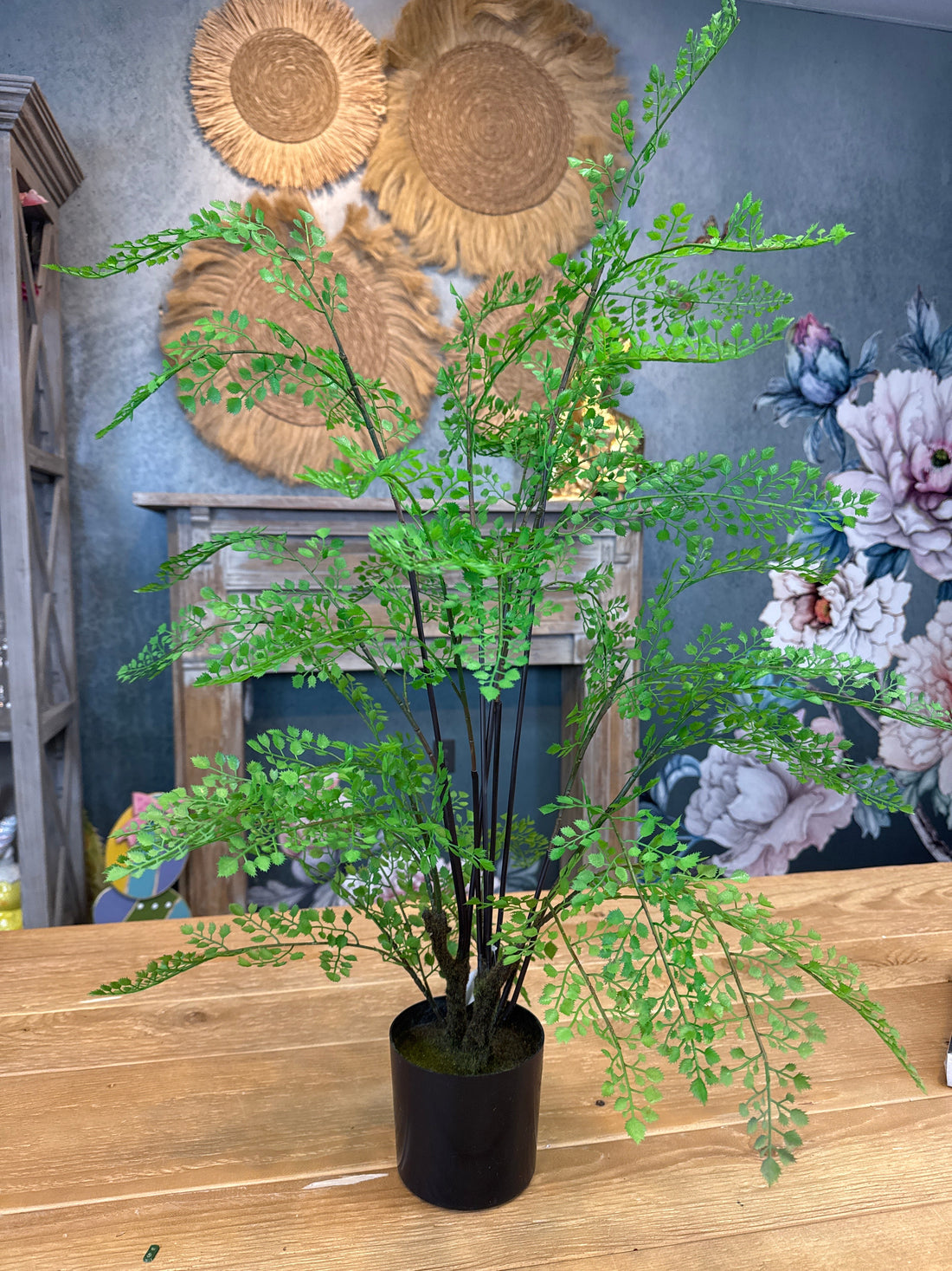31" Potted Maiden Fern Plant