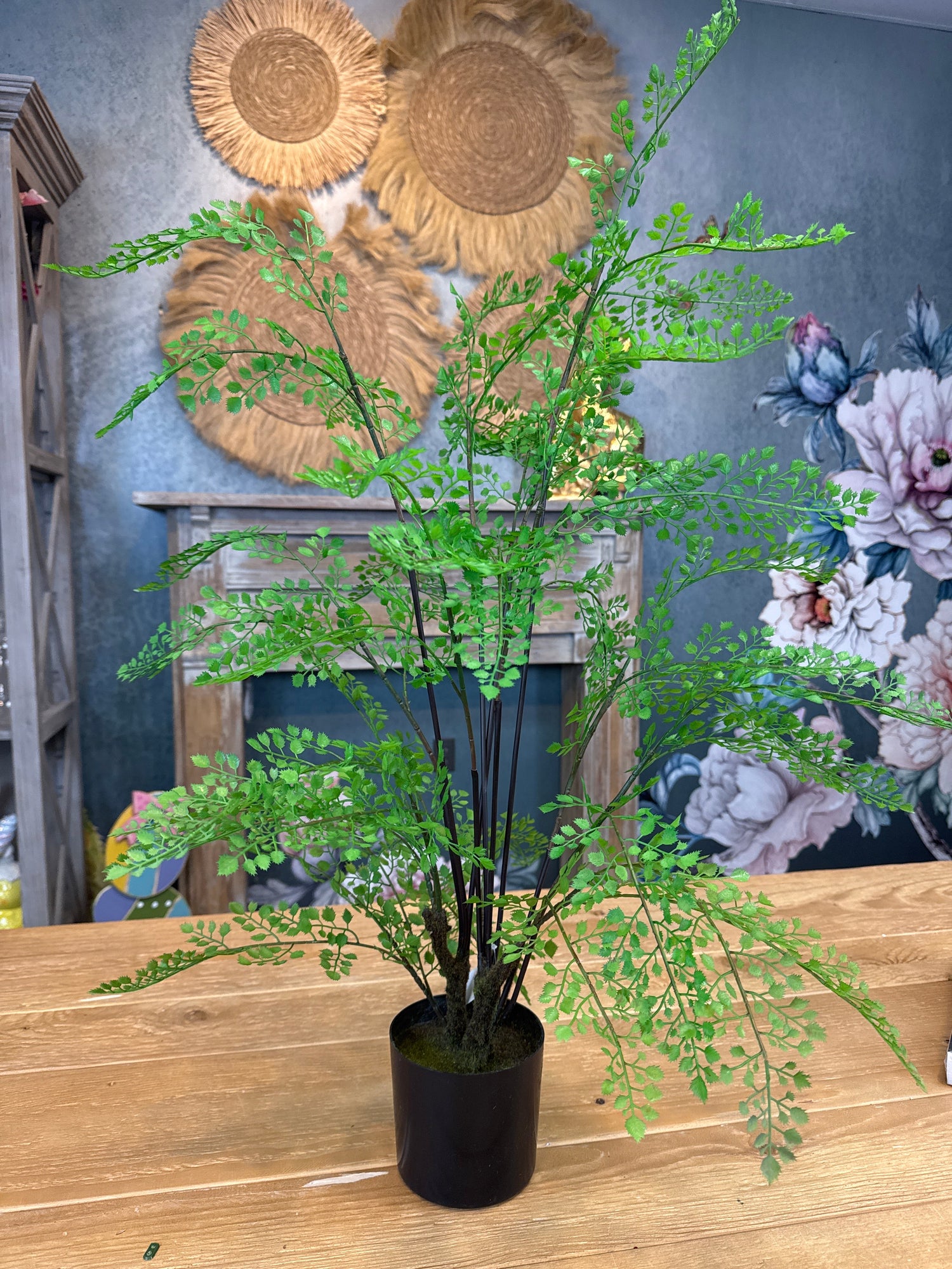 31" Potted Maiden Fern Plant