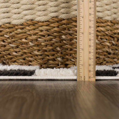 Lajos Black &amp; White Checkered Plush Rug