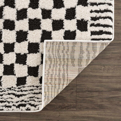 Leryn Black &amp; White Checkered Area Rug