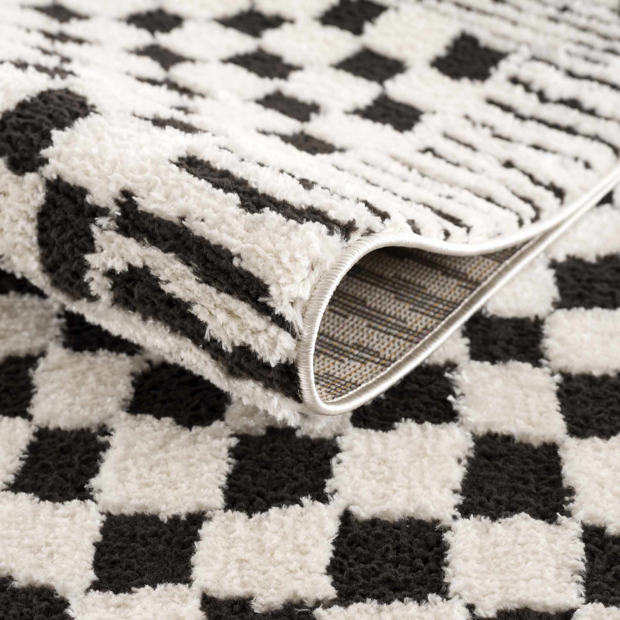 Leryn Black &amp; White Checkered Area Rug