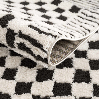 Leryn Black &amp; White Checkered Area Rug