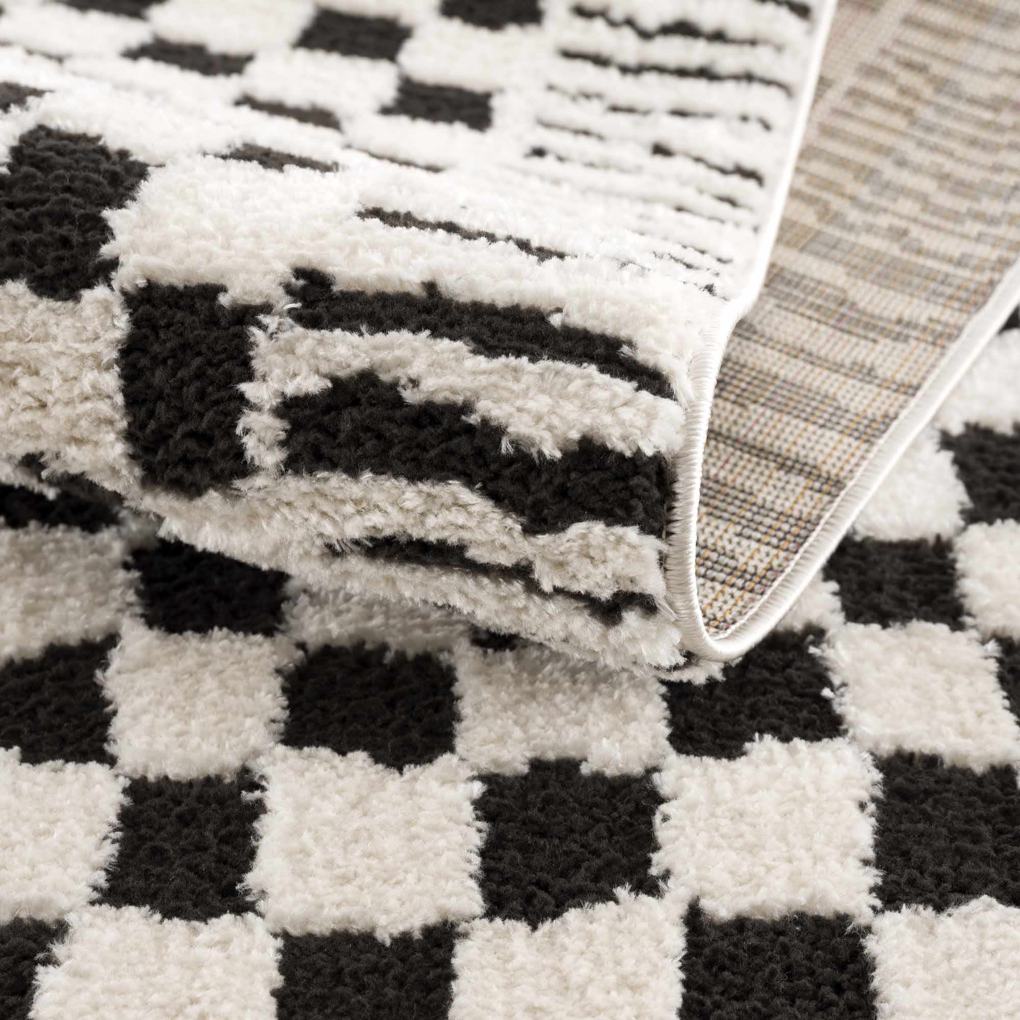 Leryn Black &amp; White Checkered Area Rug