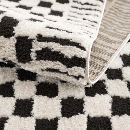 Leryn Black &amp; White Checkered Area Rug
