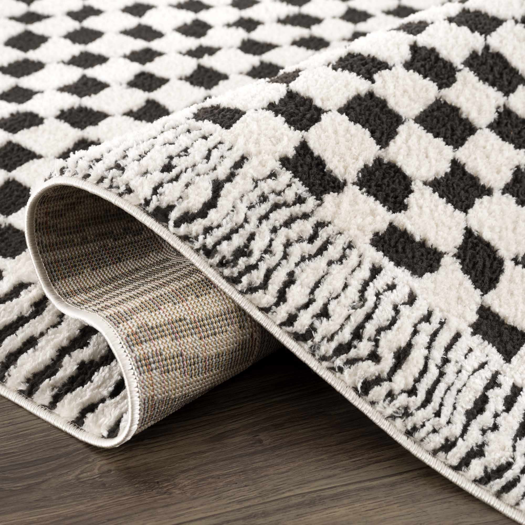 Leryn Black &amp; White Checkered Area Rug