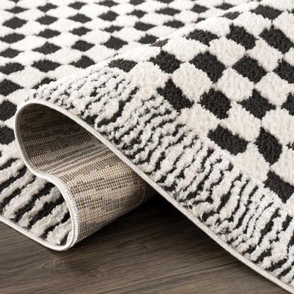 Leryn Black &amp; White Checkered Area Rug
