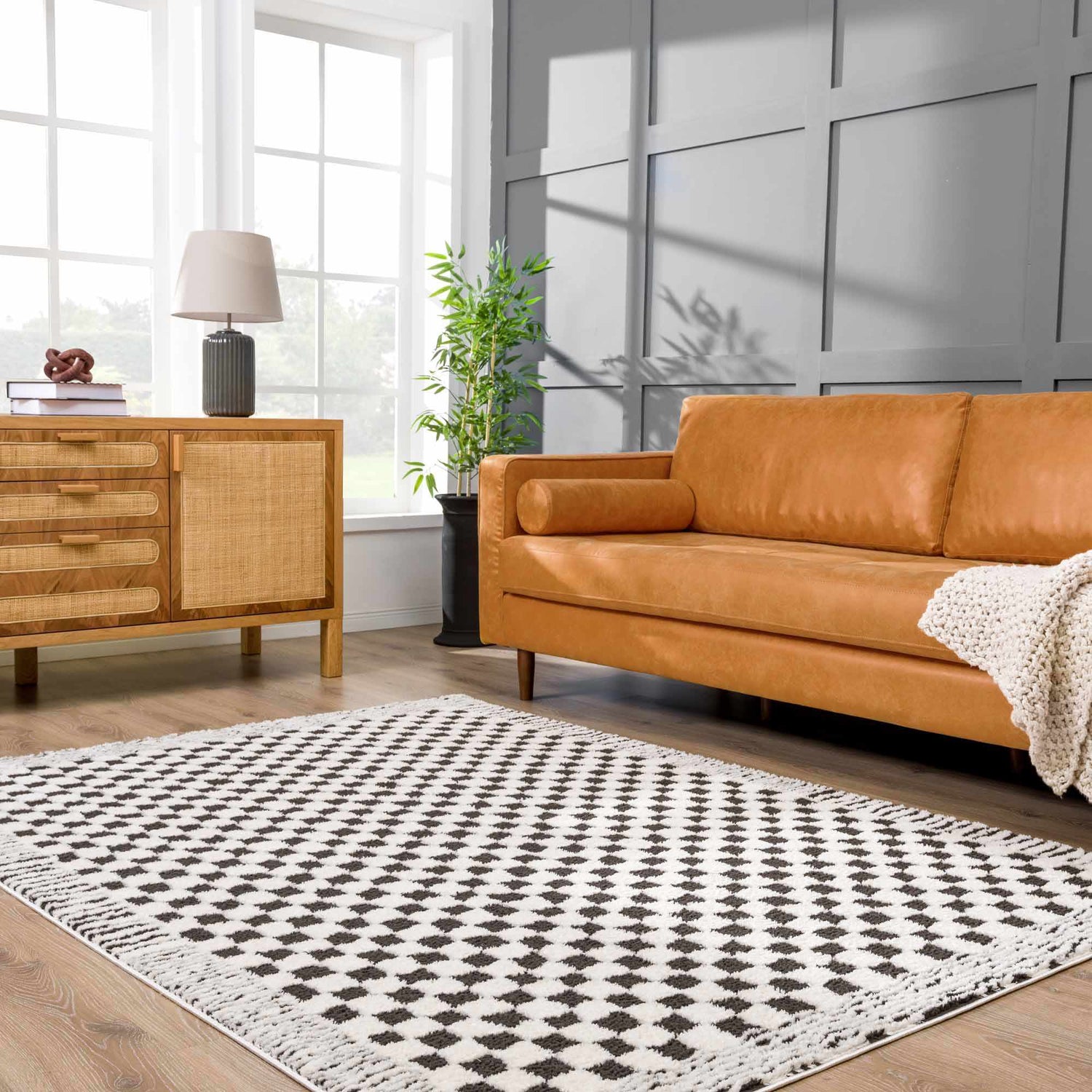 Leryn Black &amp; White Checkered Area Rug