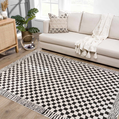 Leryn Black &amp; White Checkered Area Rug