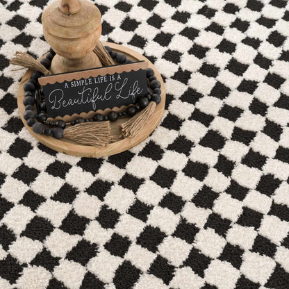 Leryn Black &amp; White Checkered Area Rug
