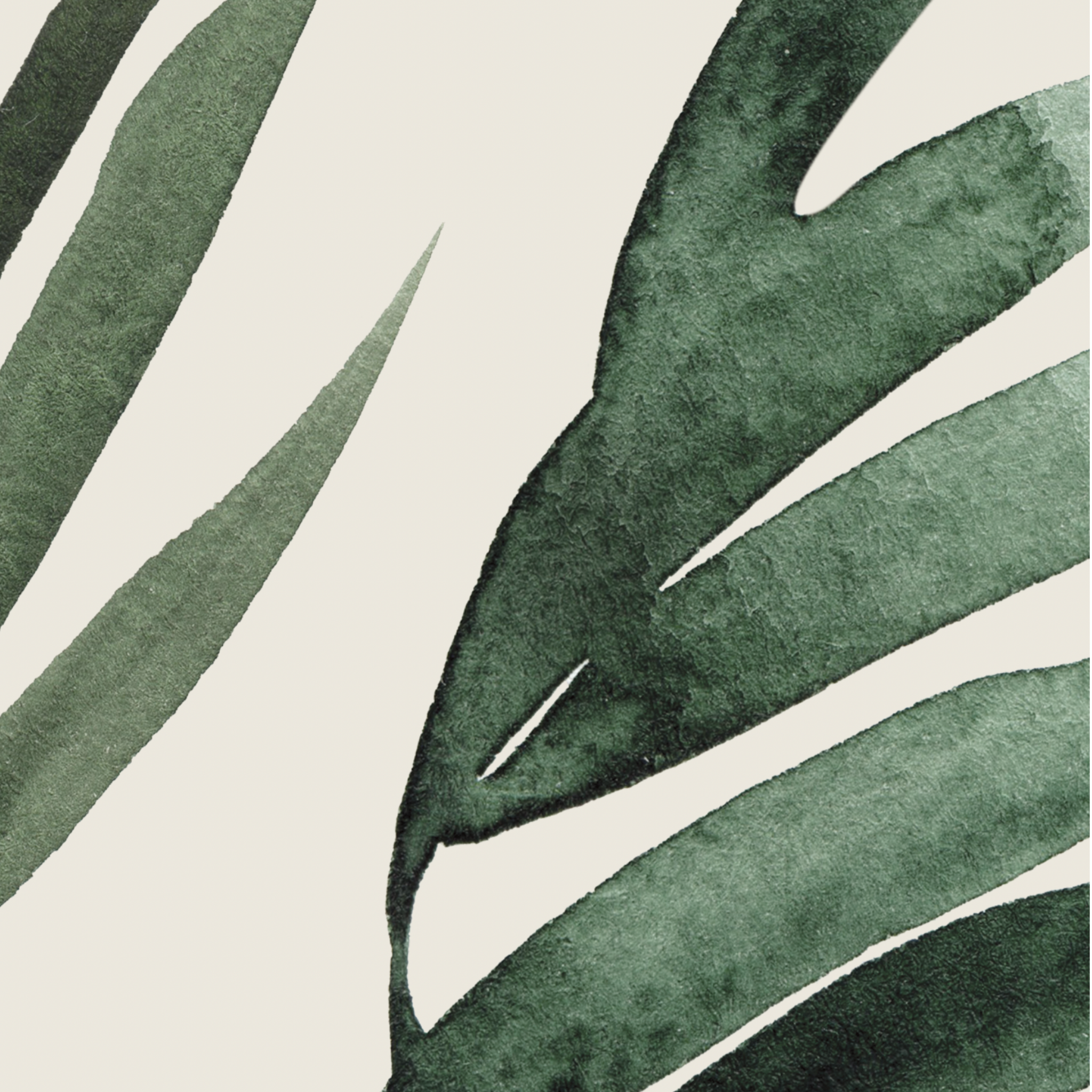 Havana Wallpaper