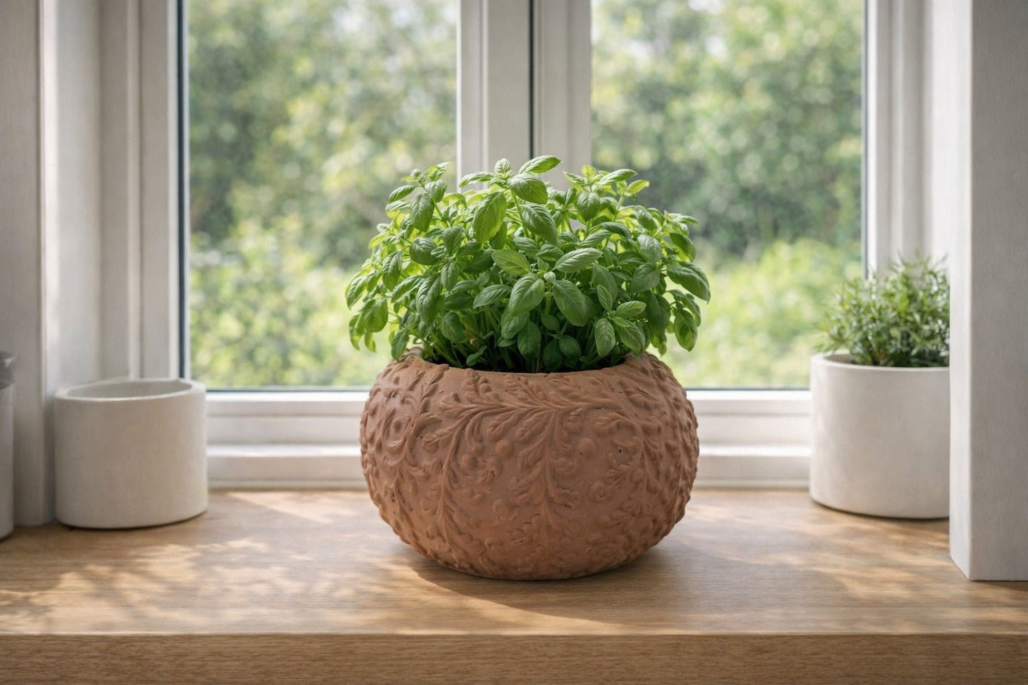 Hortensia Pot