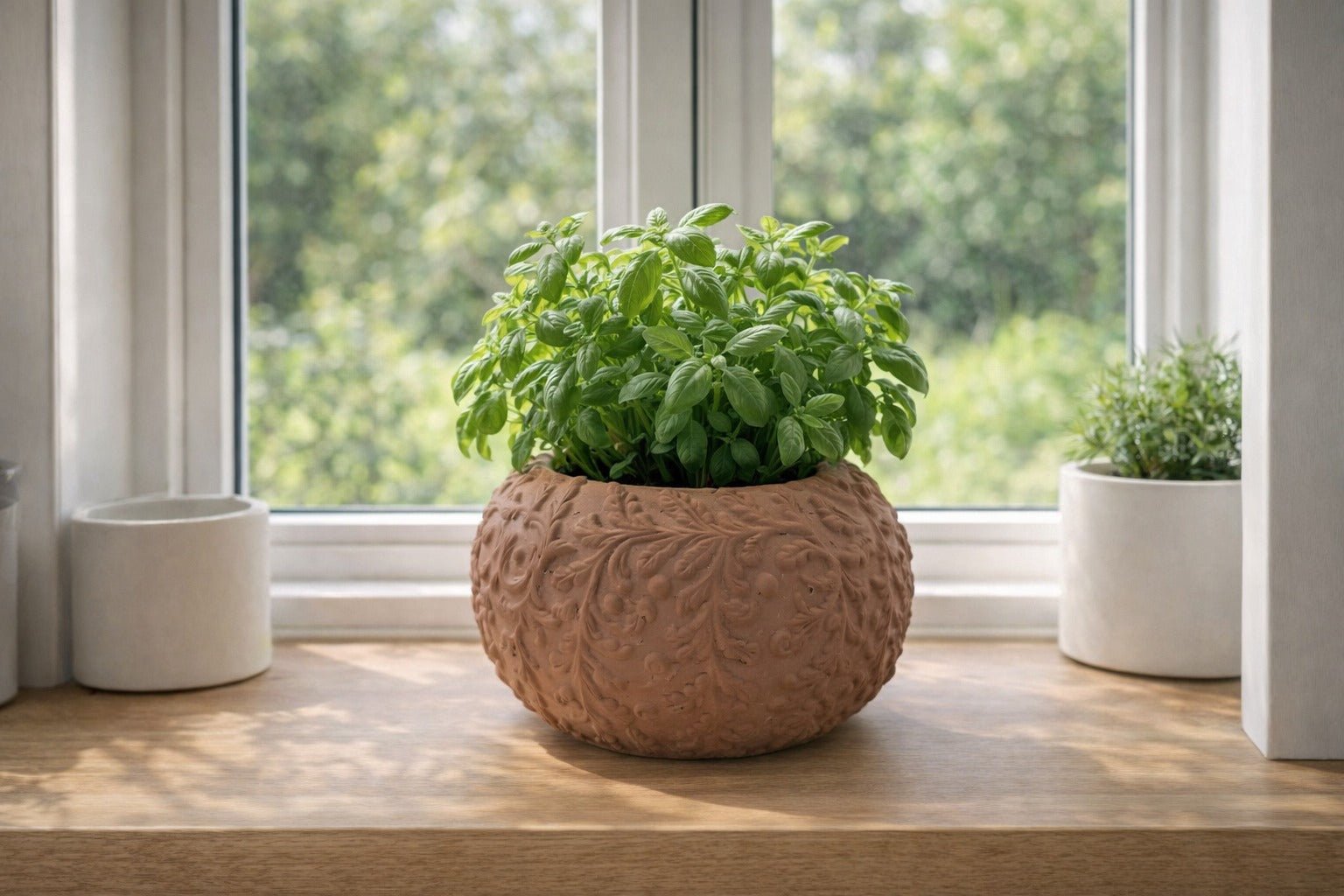Hortensia Pot