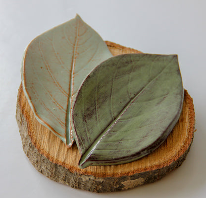 Large Leaf Dish