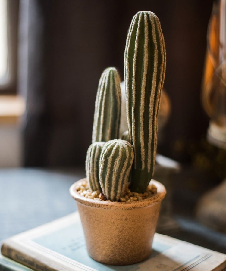 Artificial Potted Cactus