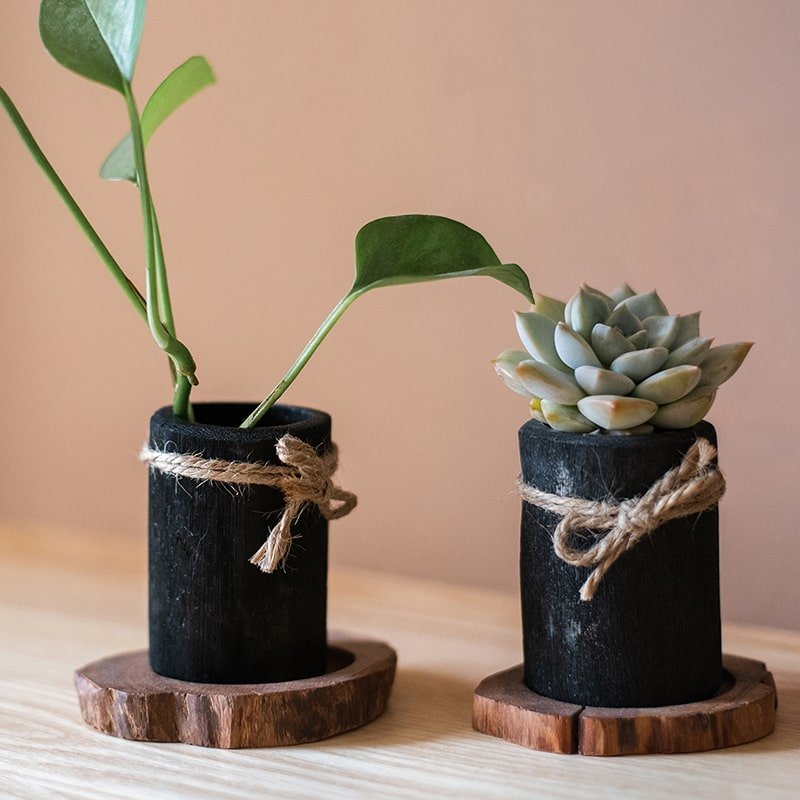 Desktop Charcoal Planter/Pen Holder with Wood Tray
