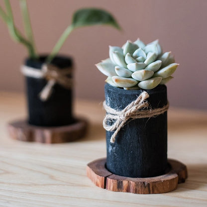 Desktop Charcoal Planter/Pen Holder with Wood Tray