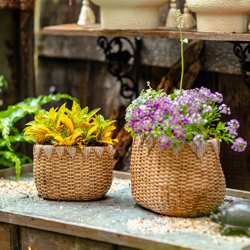 Lady Faux Straw Basket Cement Planters