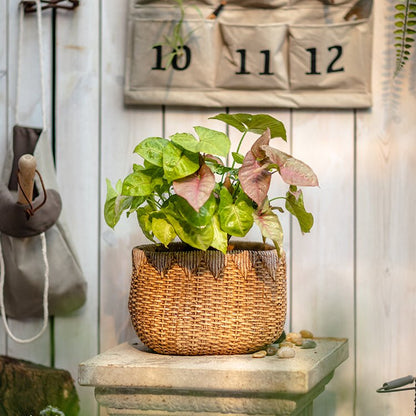 Lady Faux Straw Basket Cement Planters
