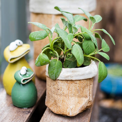 Paper Bag Style Concrete Garden Pots