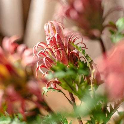 Red Flame Protea Artificial Flower Stem - 31"