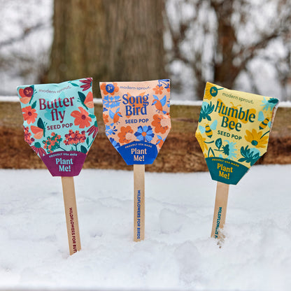 Seed Pops - Pollinator