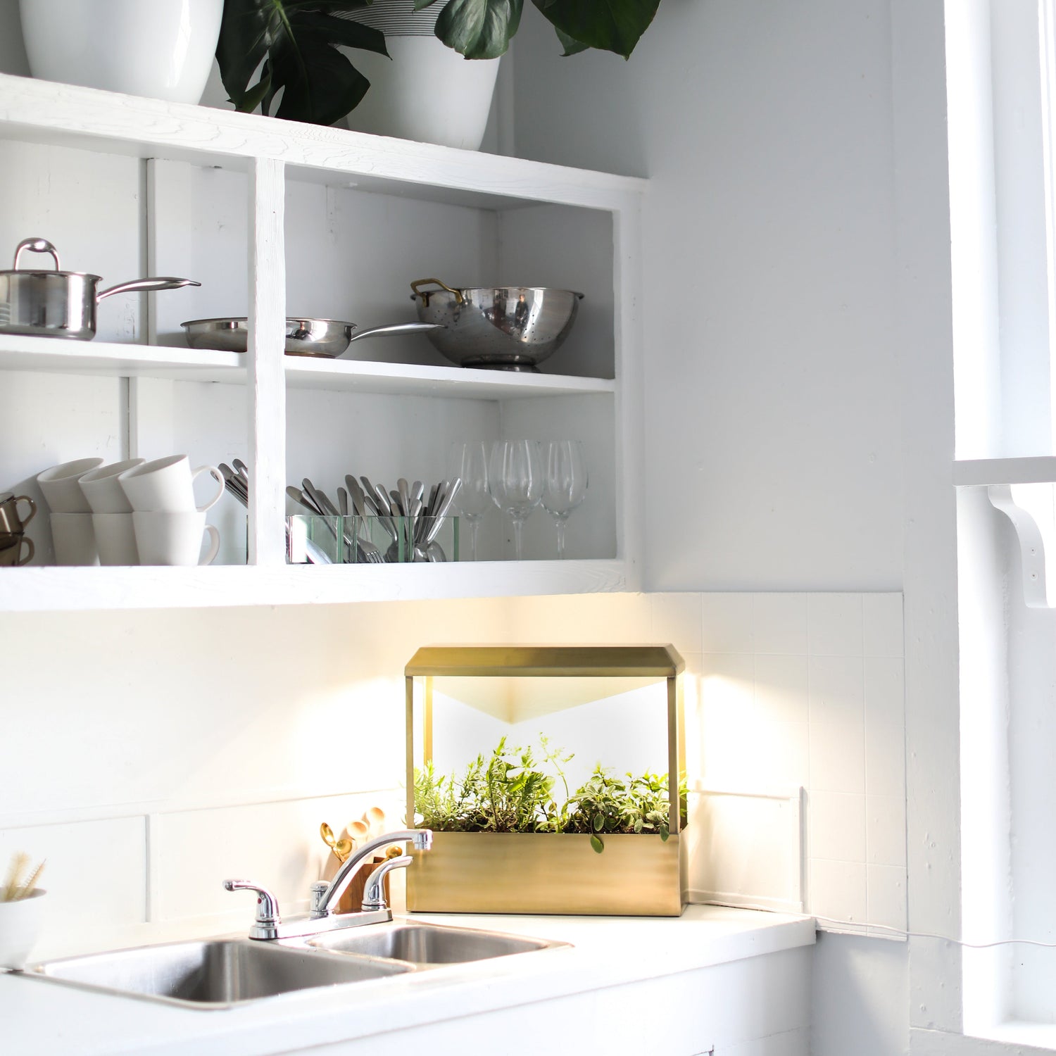 Smart Growhouse