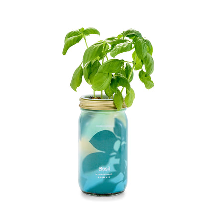 Organic Herb Jars