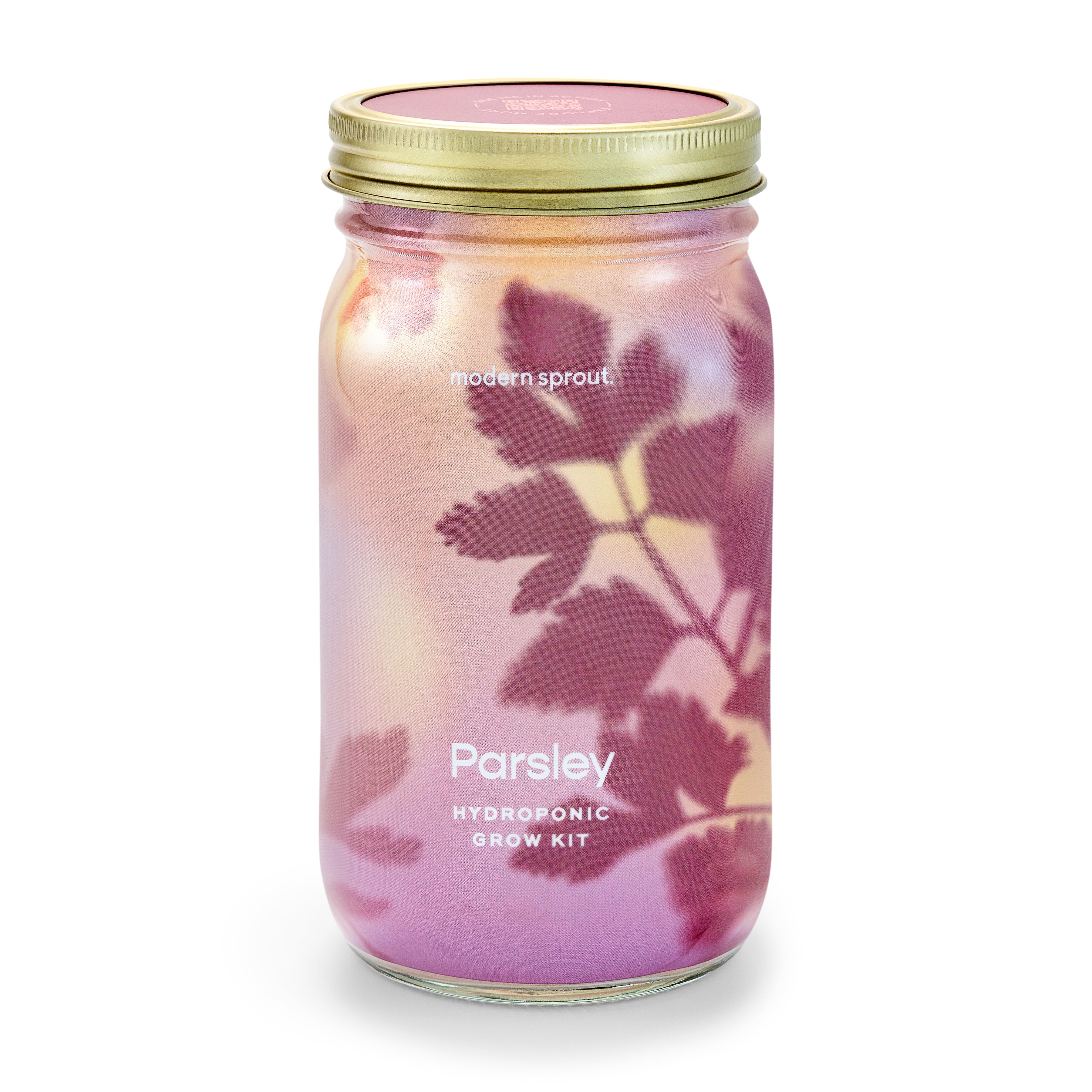 Organic Herb Jars