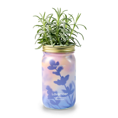 Organic Herb Jars