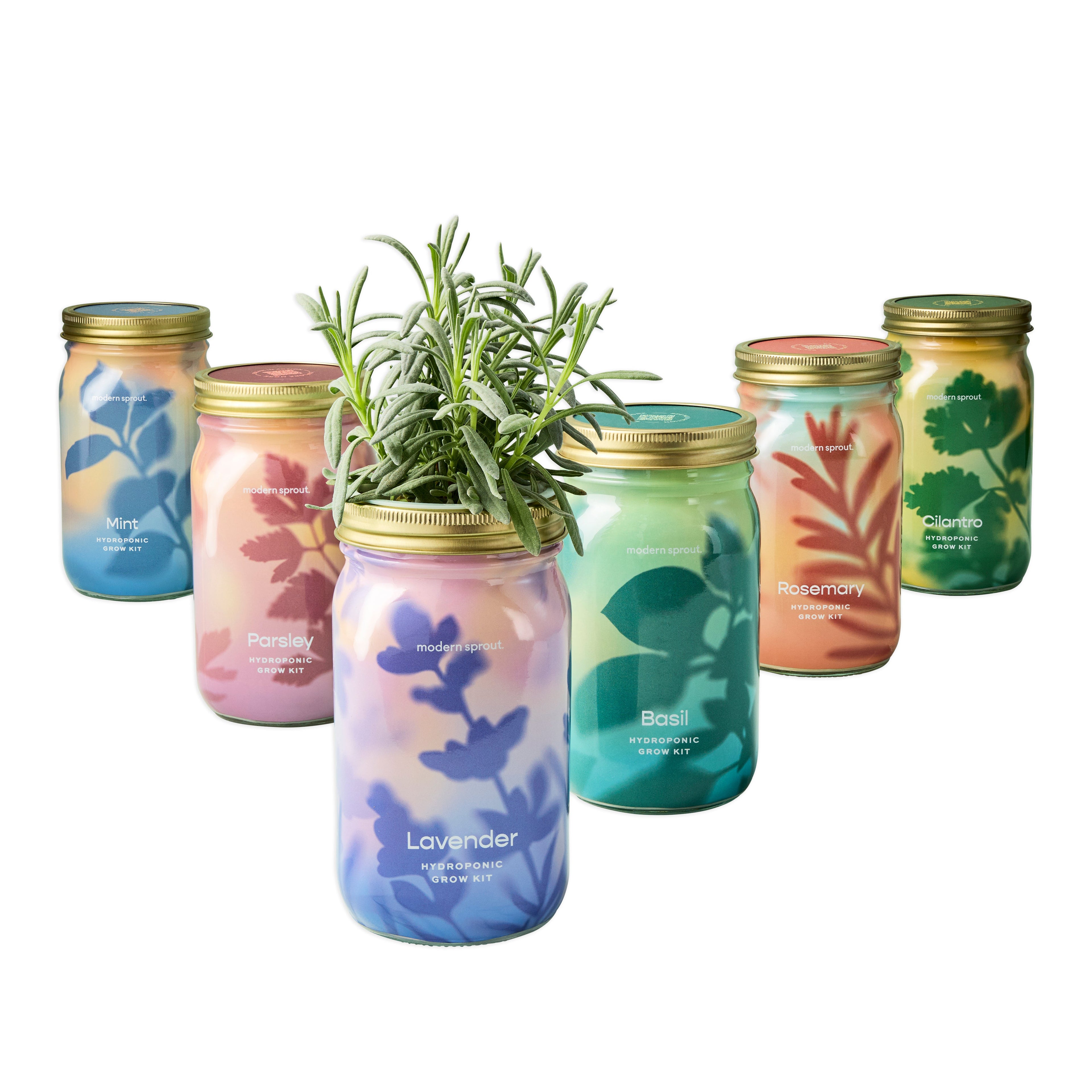 Organic Herb Jars