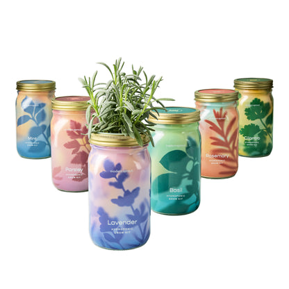 Organic Herb Jars