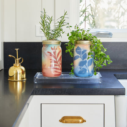 Organic Herb Jars