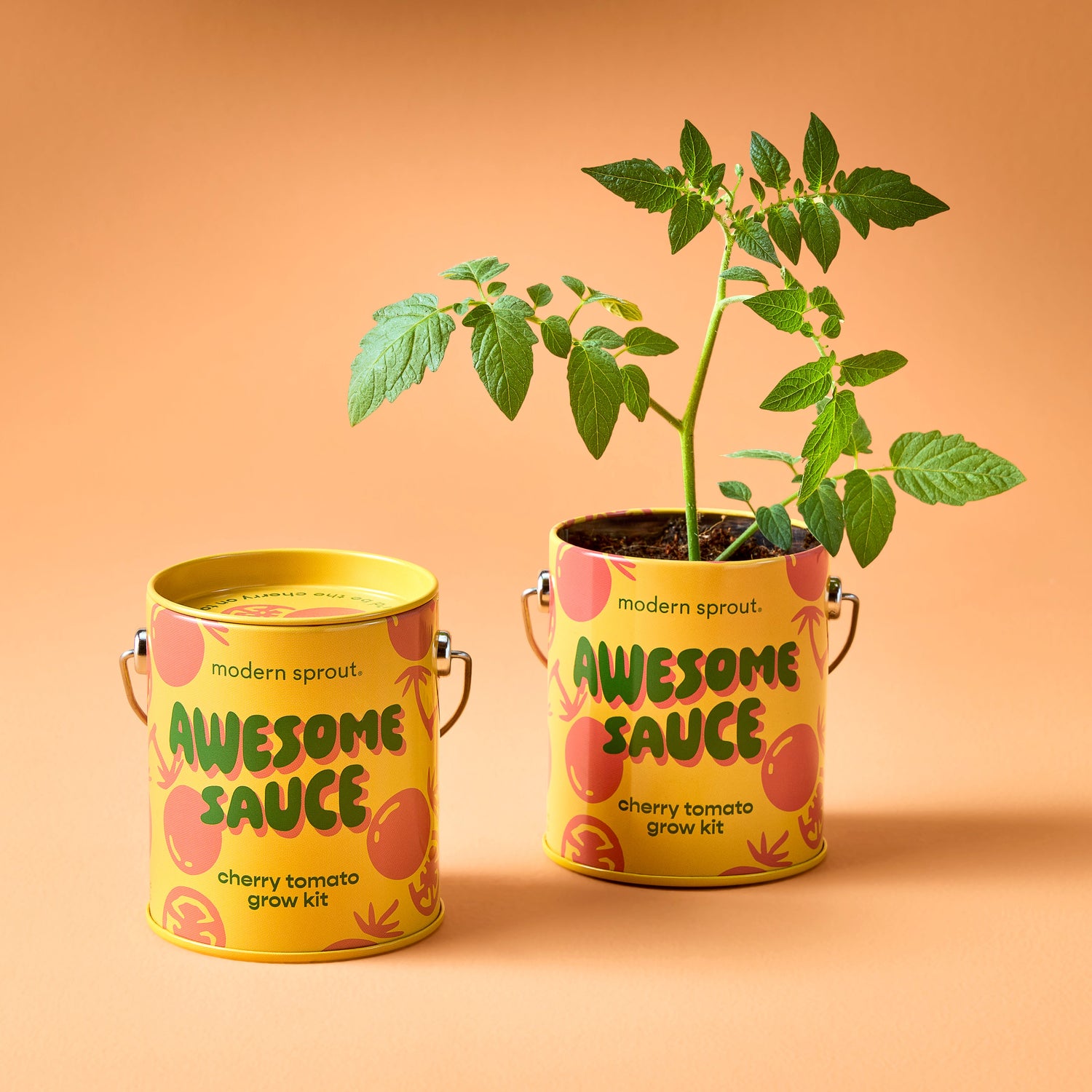 Playful Colors Grow Kits