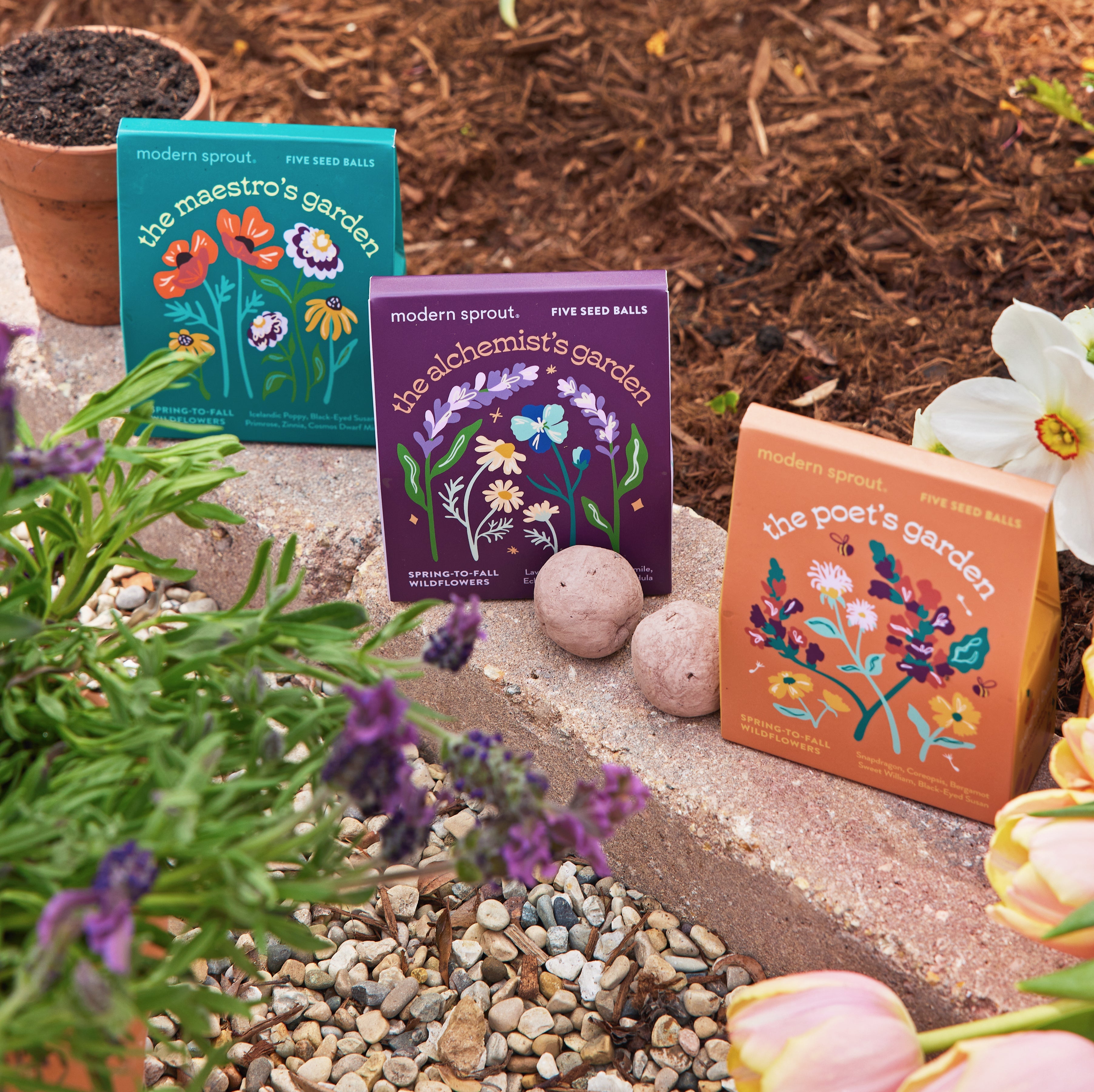 Bespoke Blooms Seed Balls