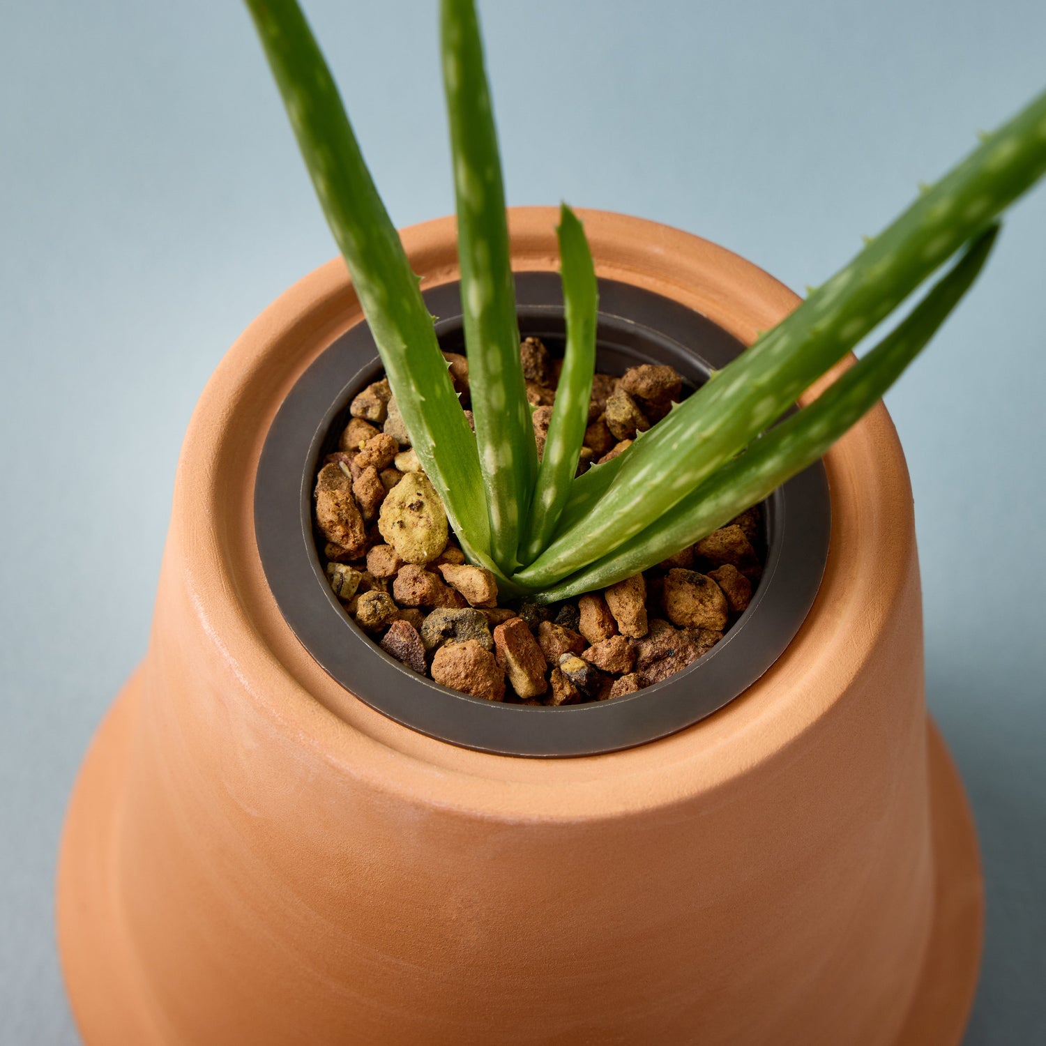 Modern Terracotta Grow Kits