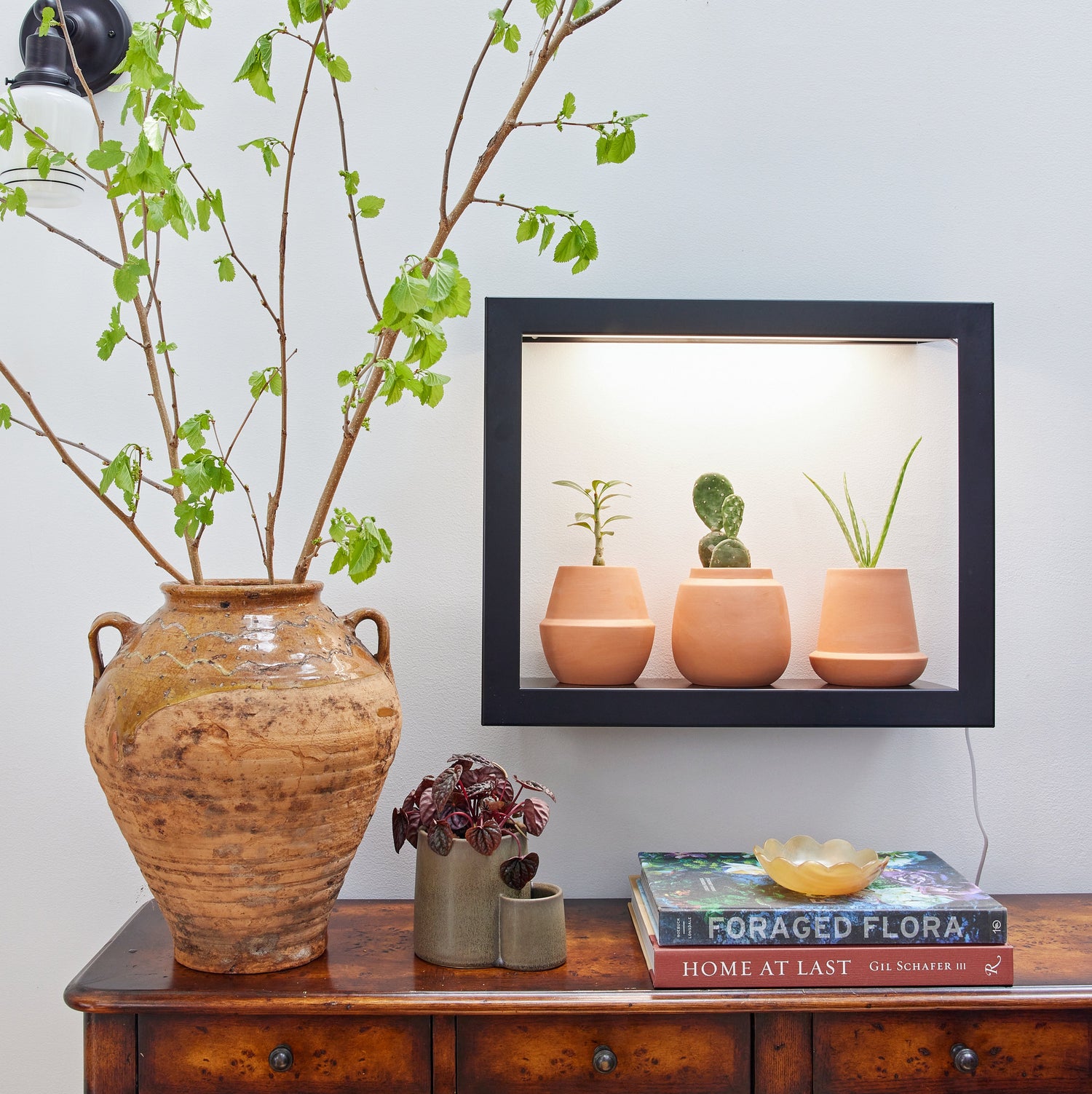 Modern Terracotta Grow Kits