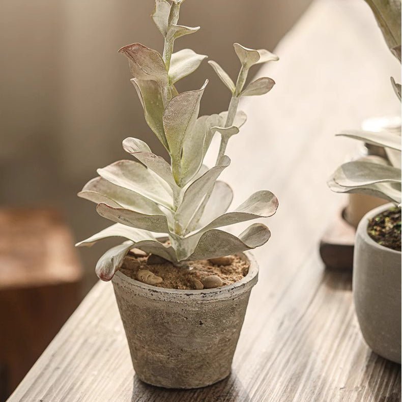 Realistic Faux Succulent Plant in Ceramic Pot