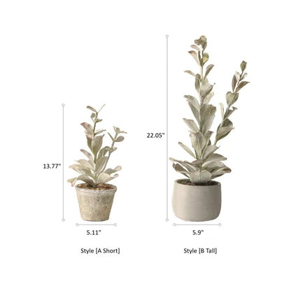 Realistic Faux Succulent Plant in Ceramic Pot