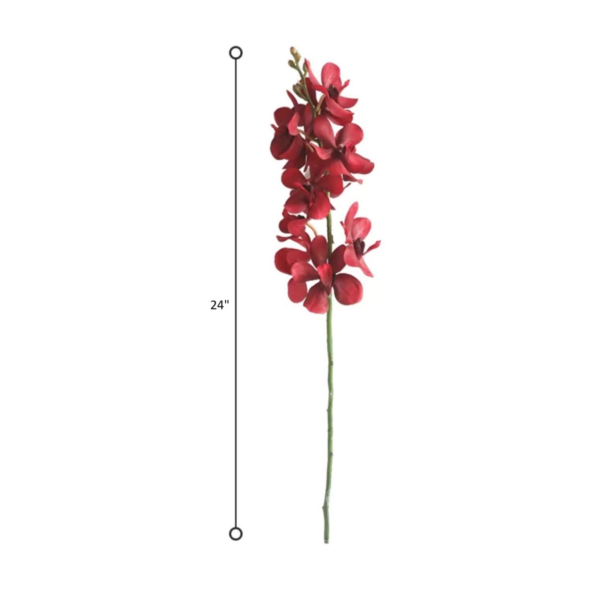 Single Red Orchid Stem - 24"